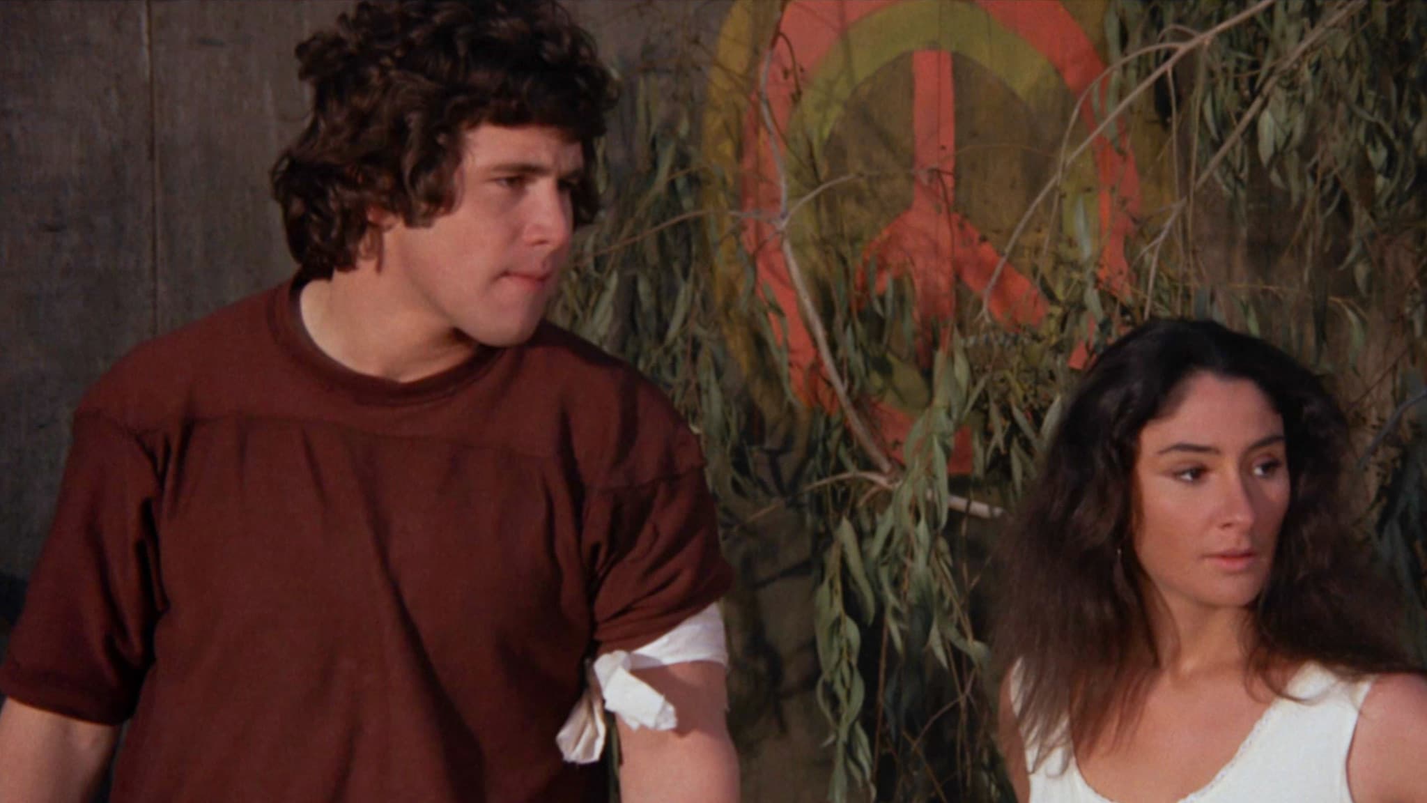 The Peace Killers Backdrop