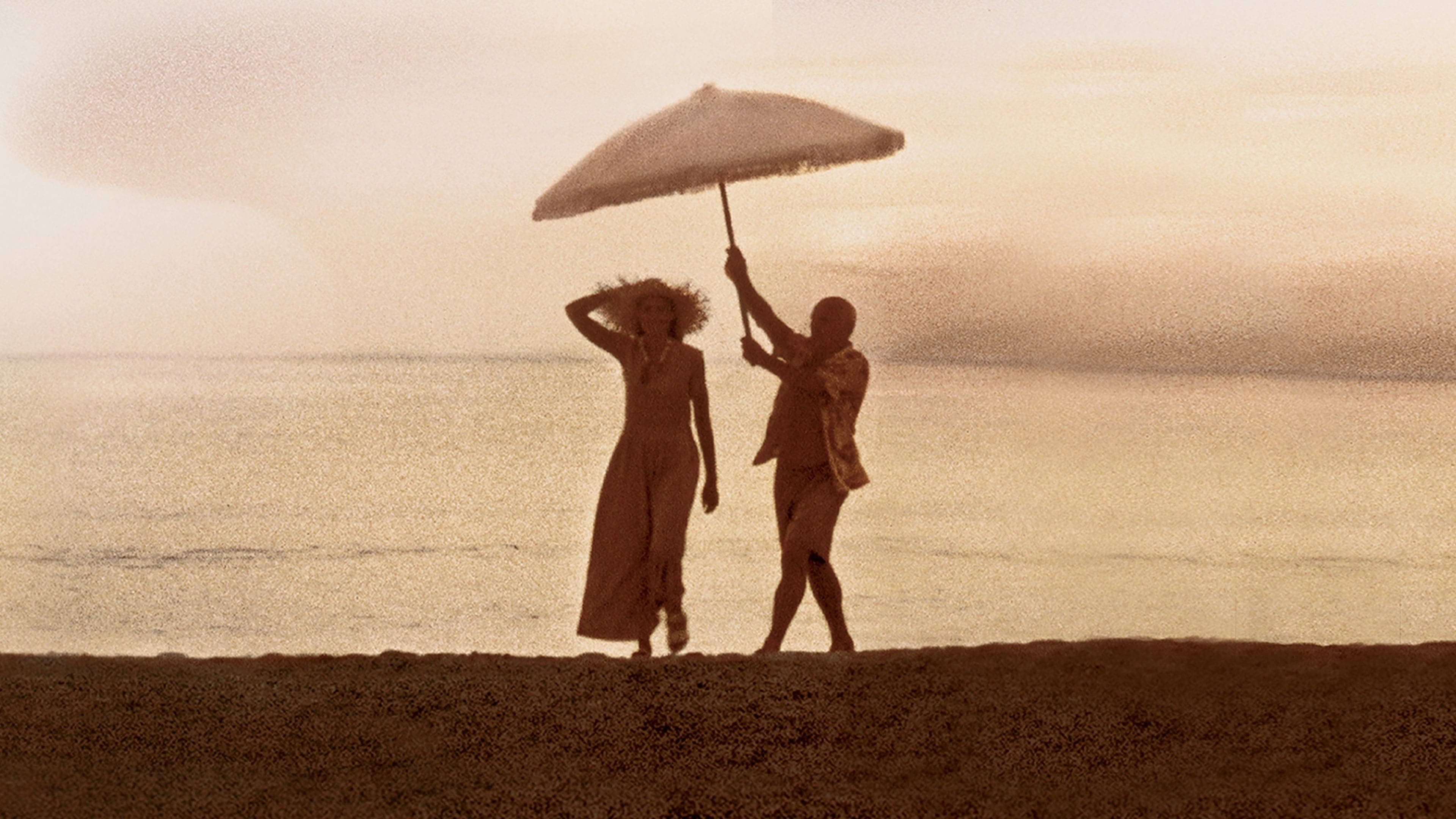 Surviving Picasso Backdrop