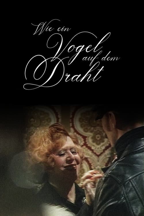 Like a Bird on a Wire Poster