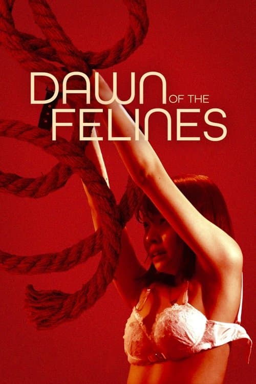 Dawn of the Felines Poster