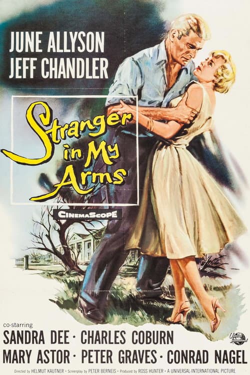 A Stranger in My Arms Poster