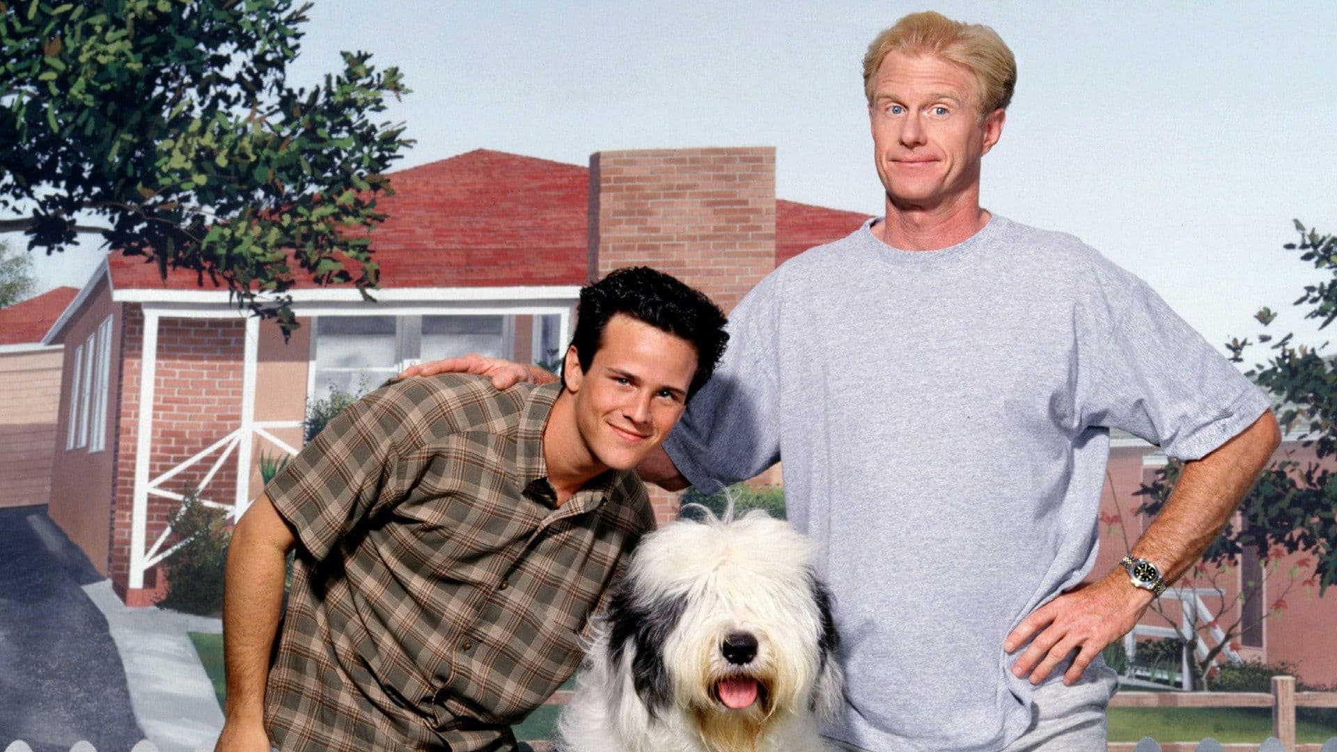 The Shaggy Dog Backdrop