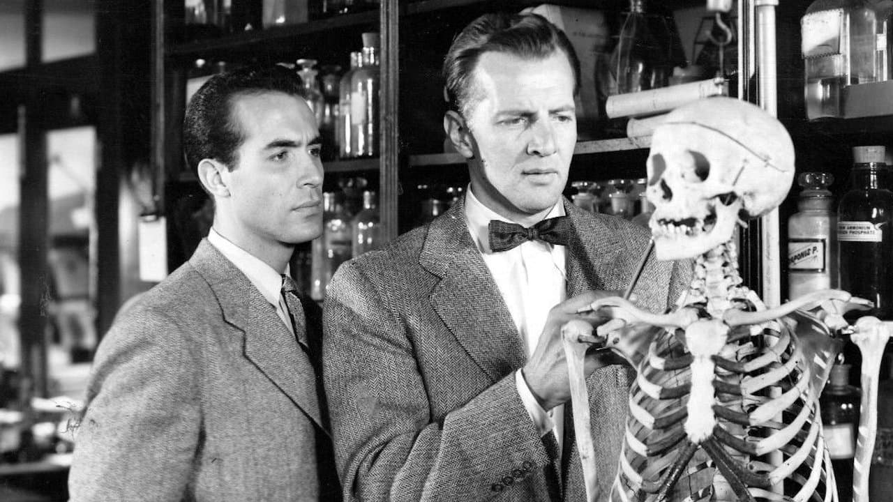 Mystery Street Backdrop