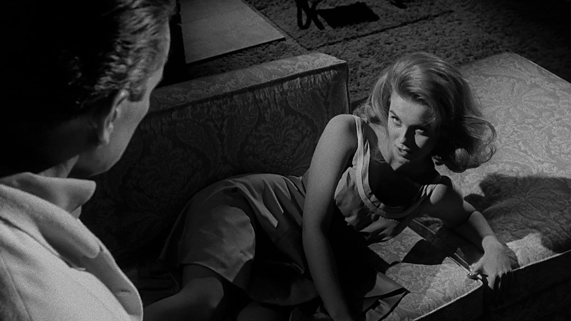 Kitten with a Whip Backdrop