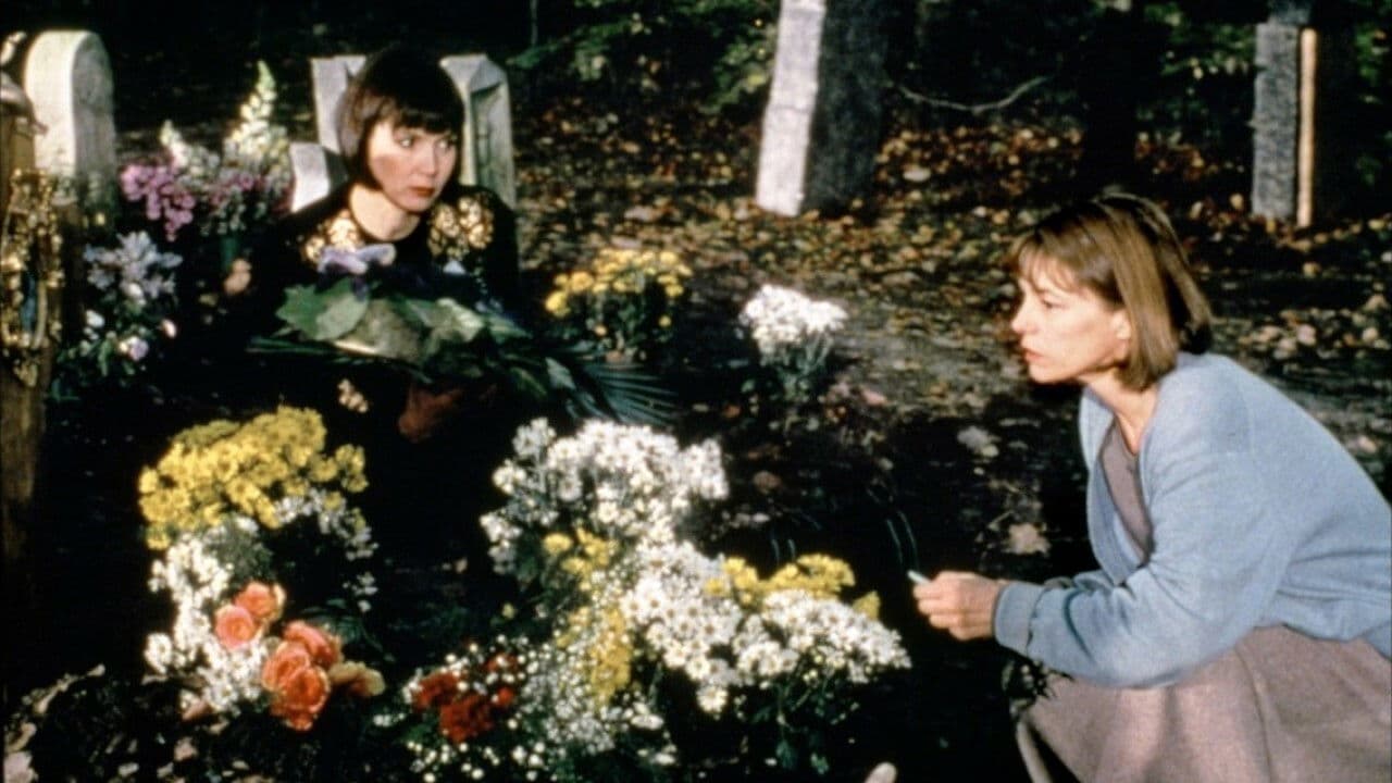 Black for Remembrance Backdrop