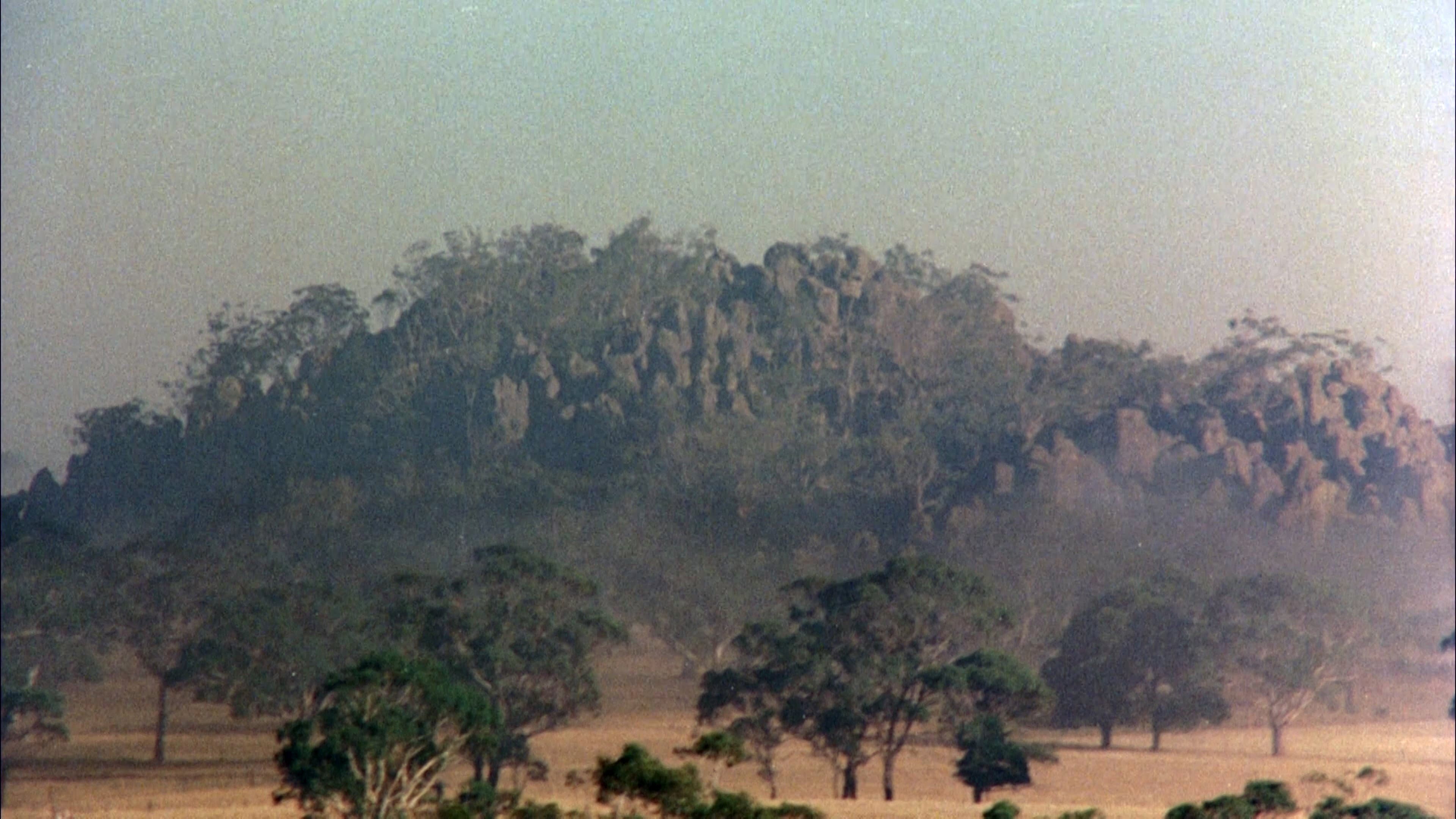 Everything Begins and Ends Backdrop