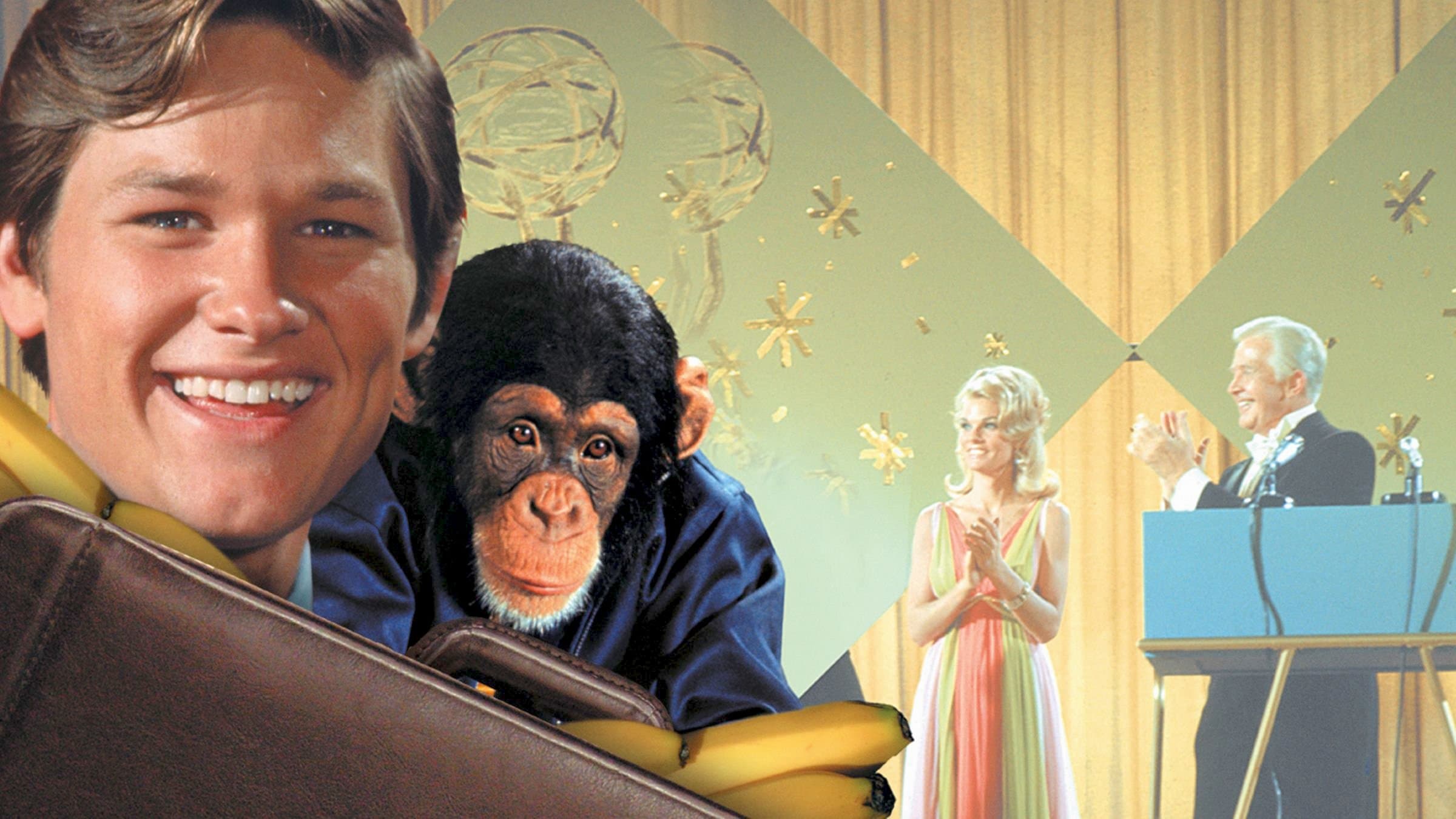 The Barefoot Executive Backdrop