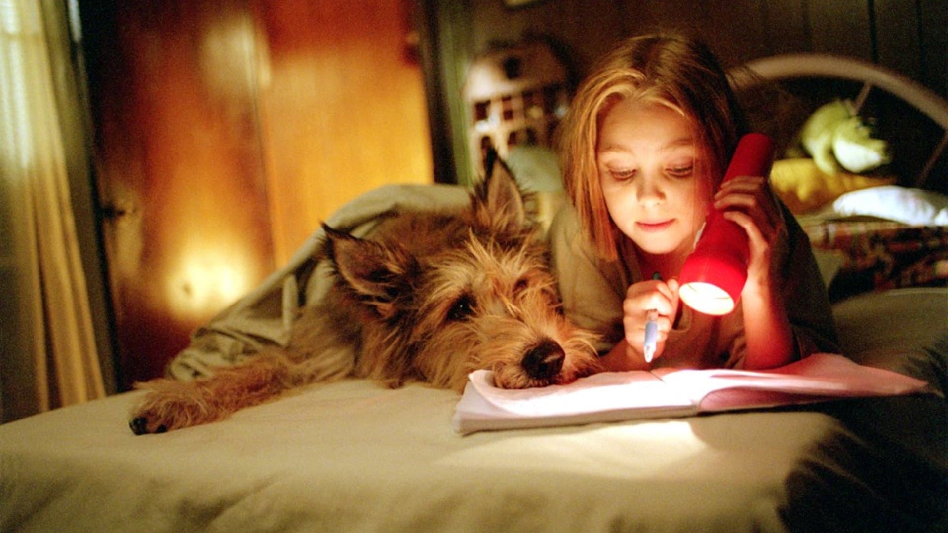 Because of Winn-Dixie Backdrop