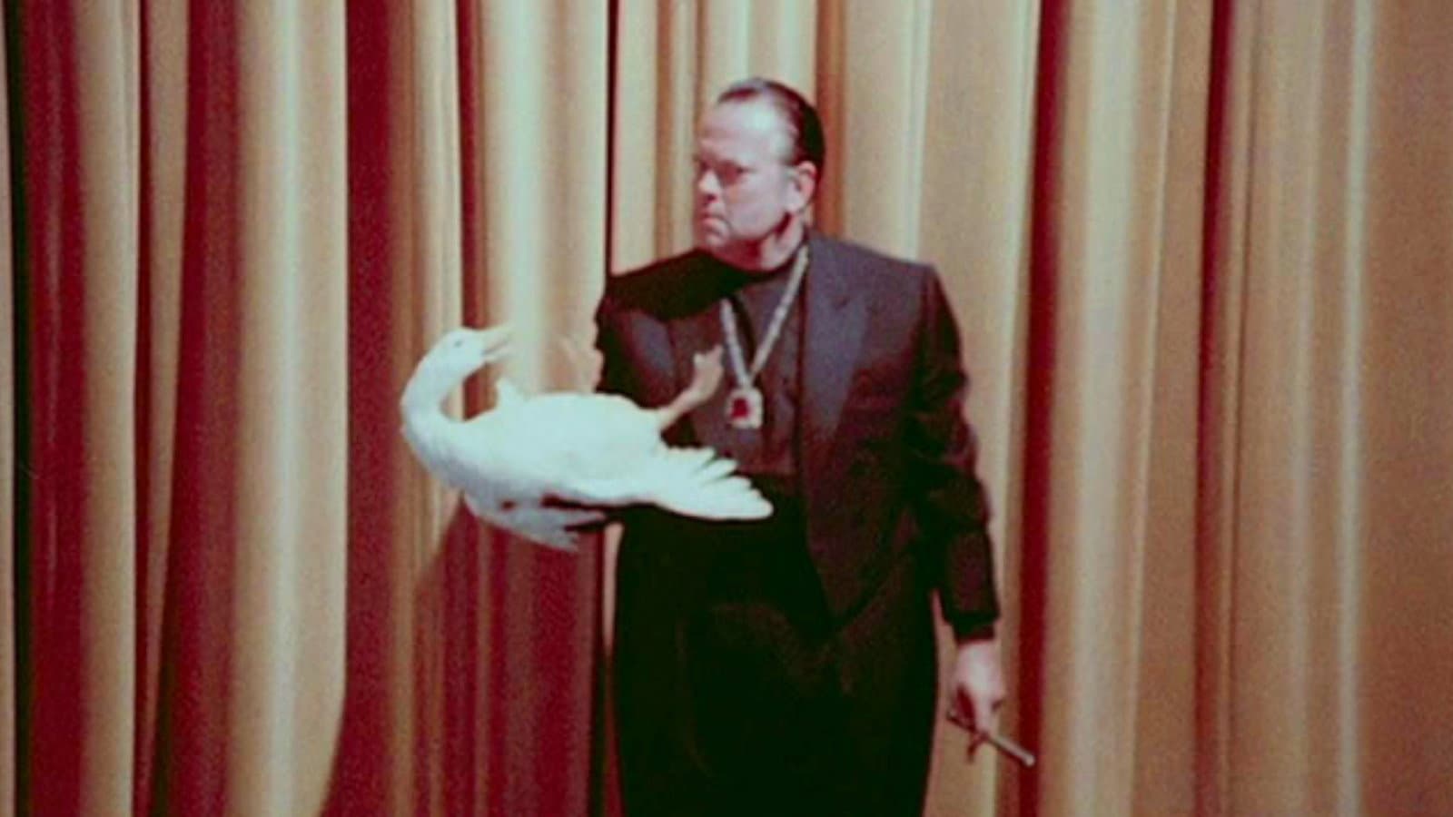 Orson Welles' Magic Show Backdrop