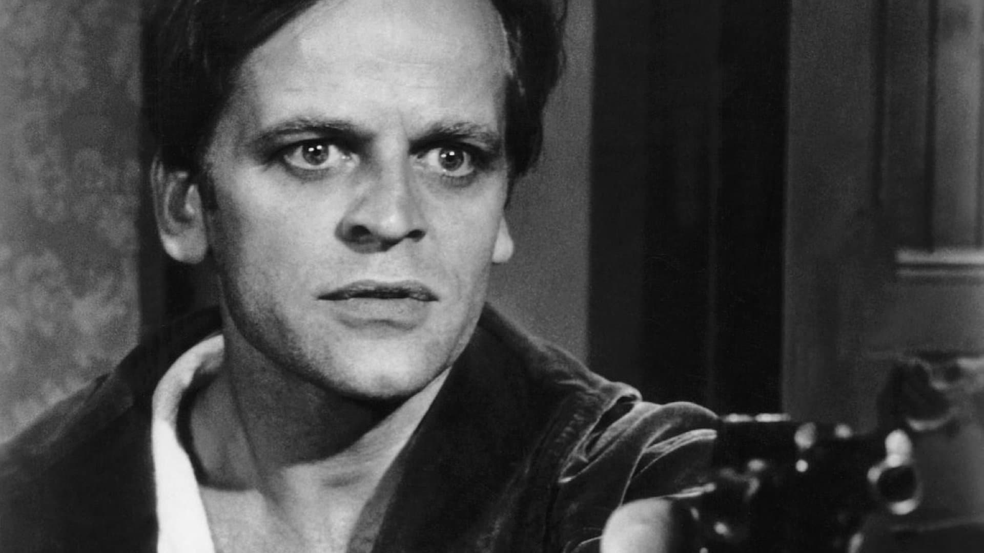 The Indian Scarf Backdrop