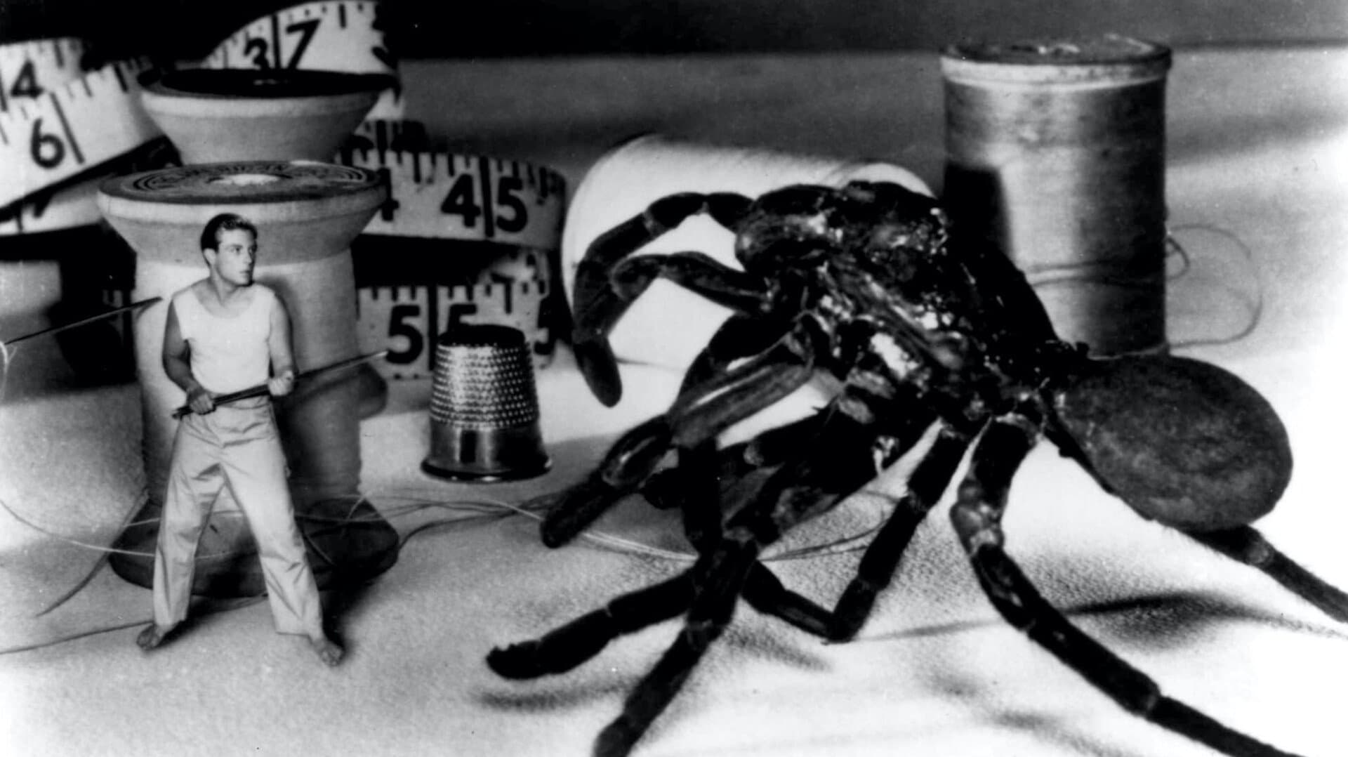 The Incredible Shrinking Man Backdrop