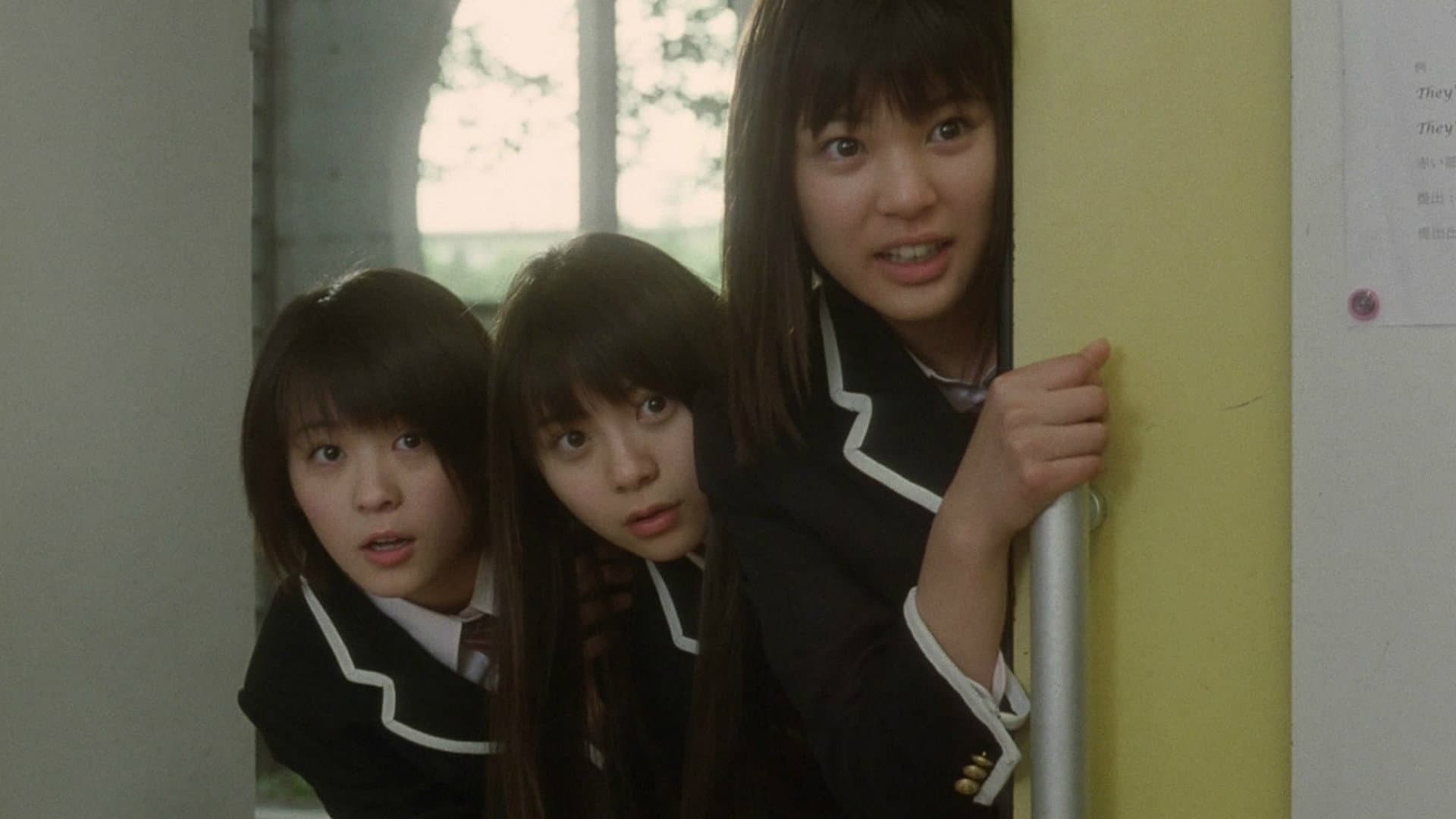 Bushido Sixteen Backdrop