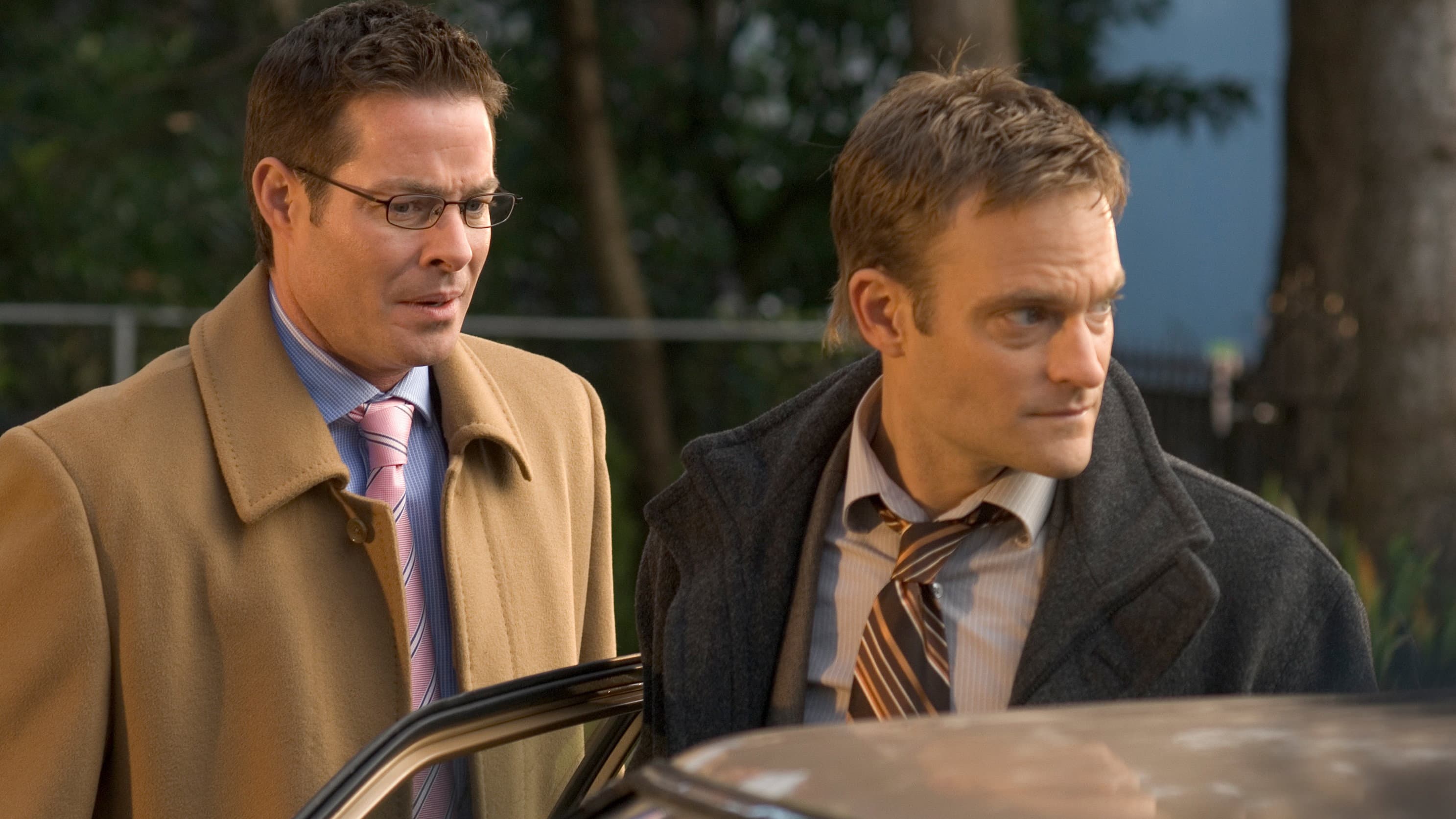 Ice Blues: A Donald Strachey Mystery Backdrop