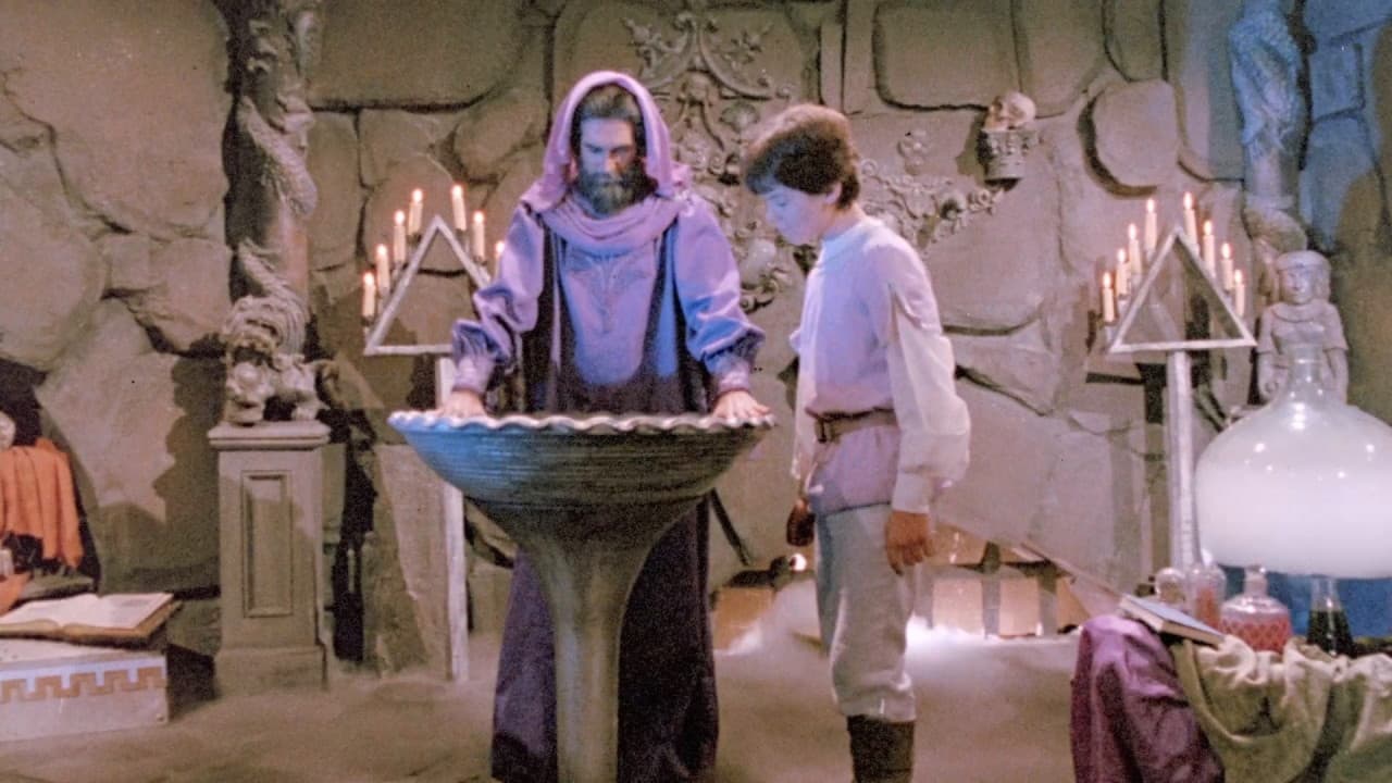 Wizards of the Lost Kingdom Backdrop