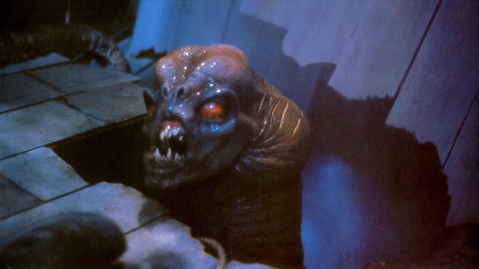 The Kindred Backdrop