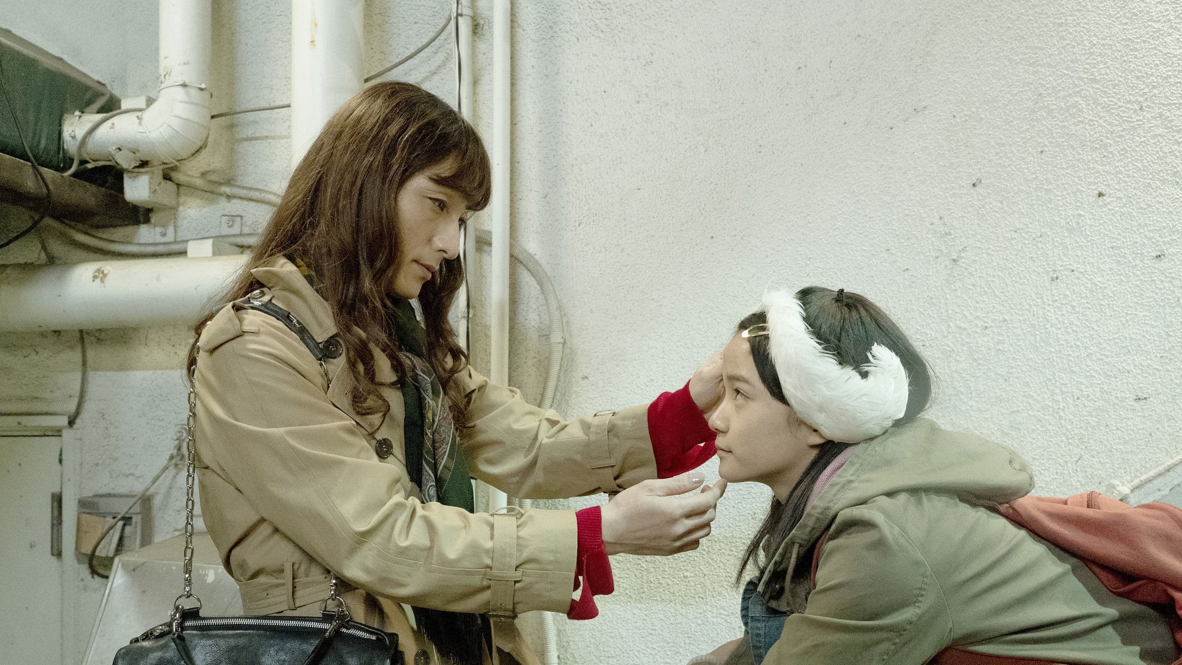 Midnight Swan Backdrop