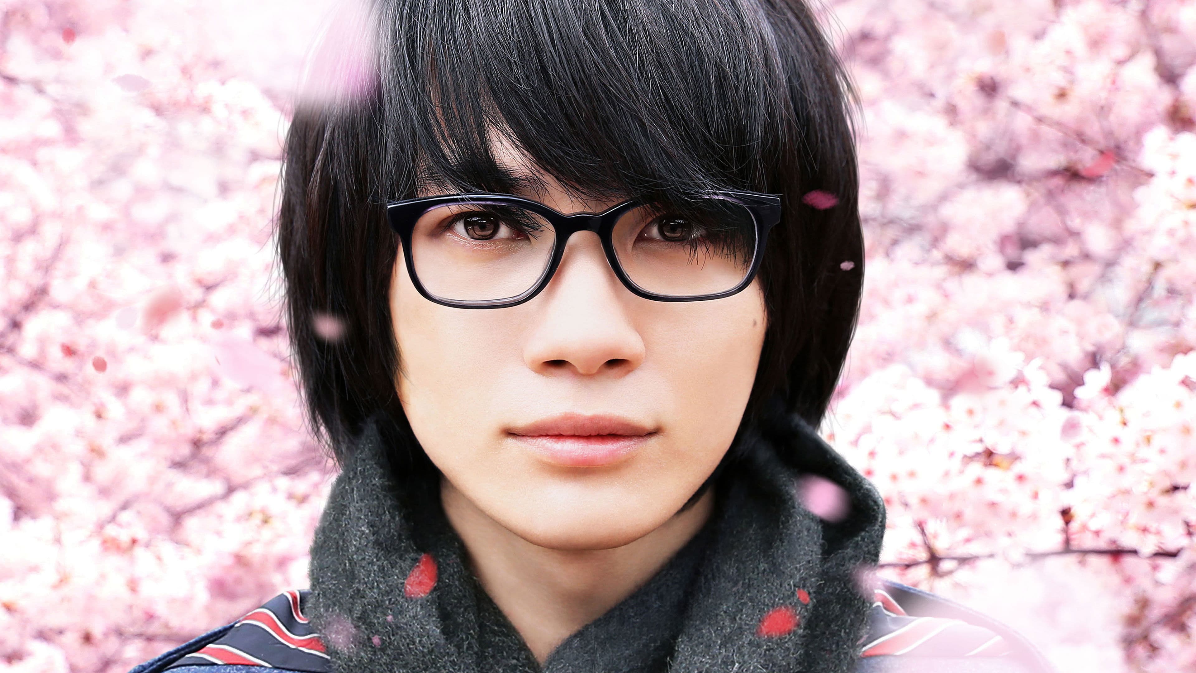 March Comes In Like a Lion Backdrop