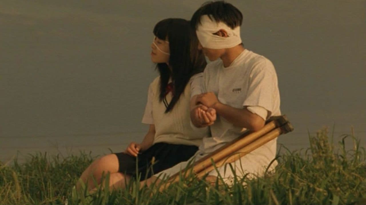 Moonlight Whispers Backdrop