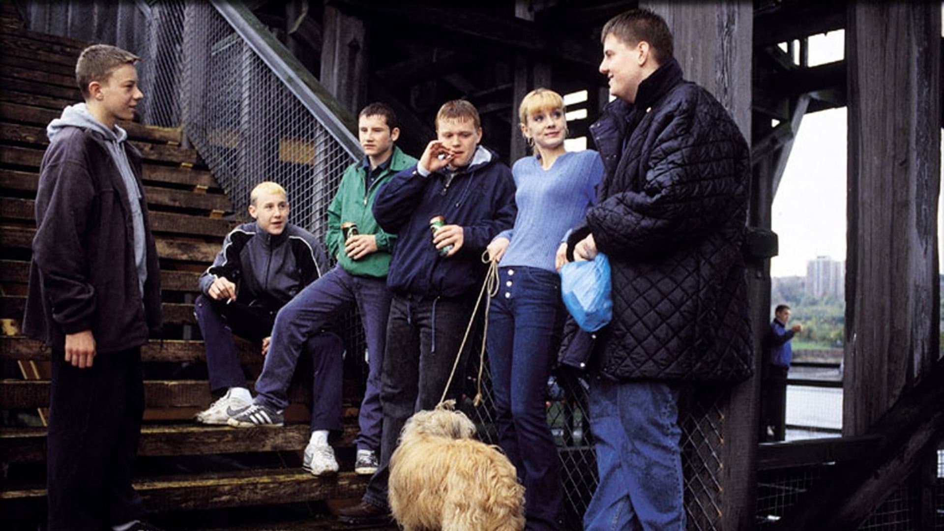 Purely Belter Backdrop