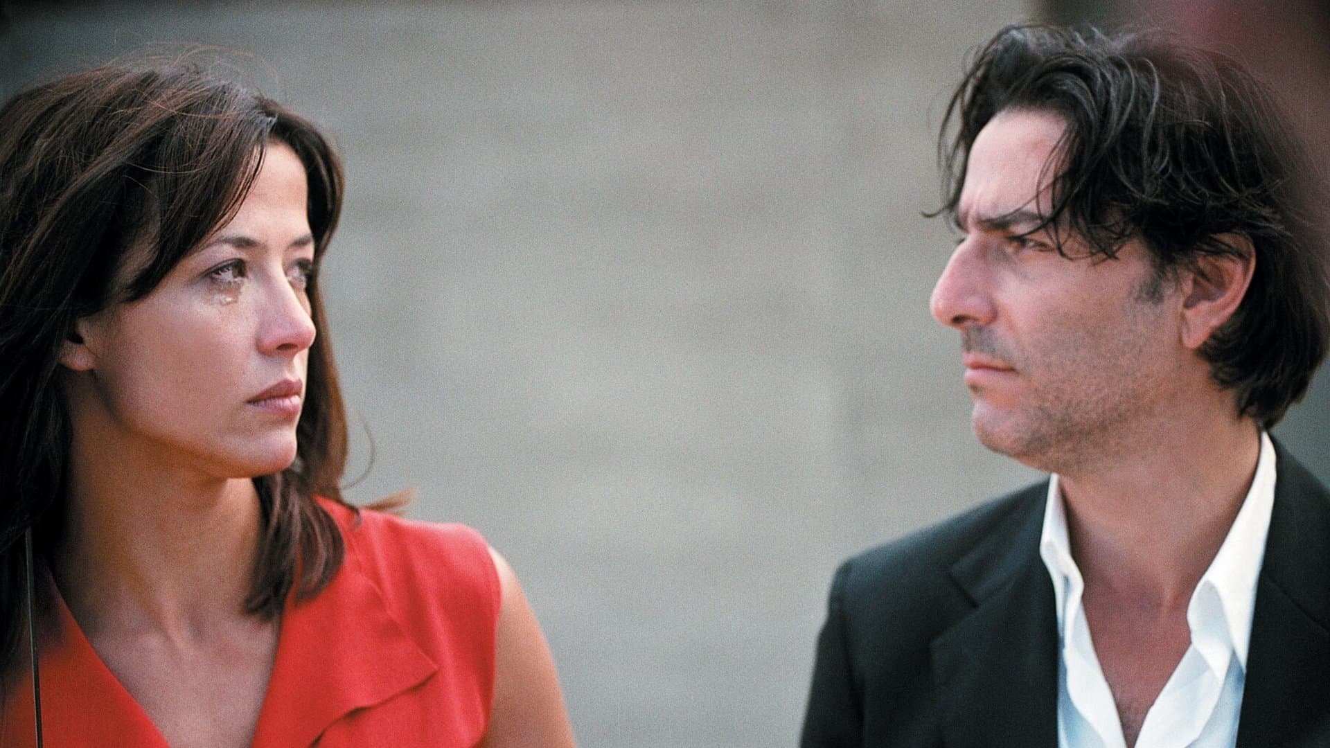 Anthony Zimmer Backdrop