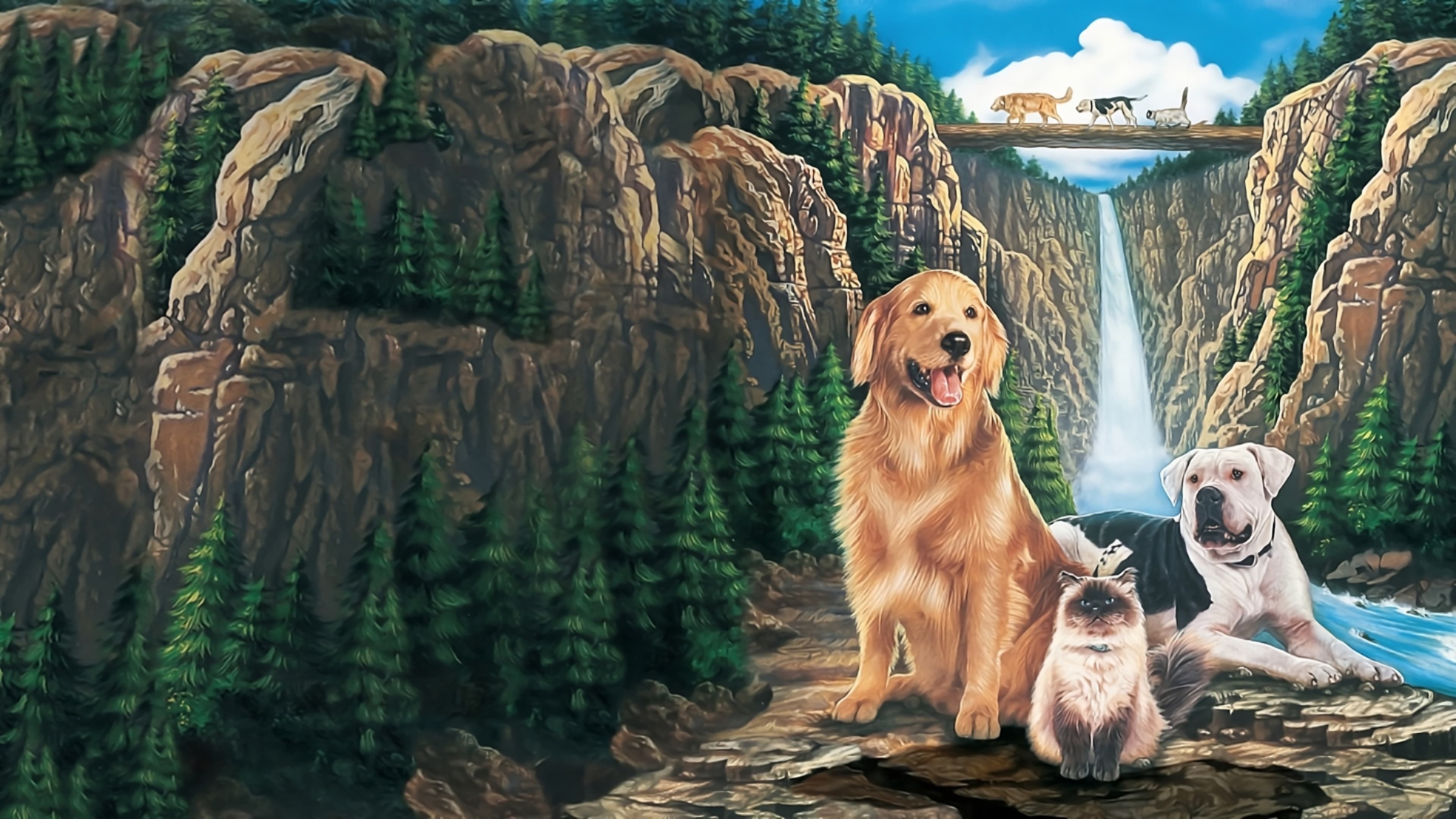 Homeward Bound: The Incredible Journey Backdrop