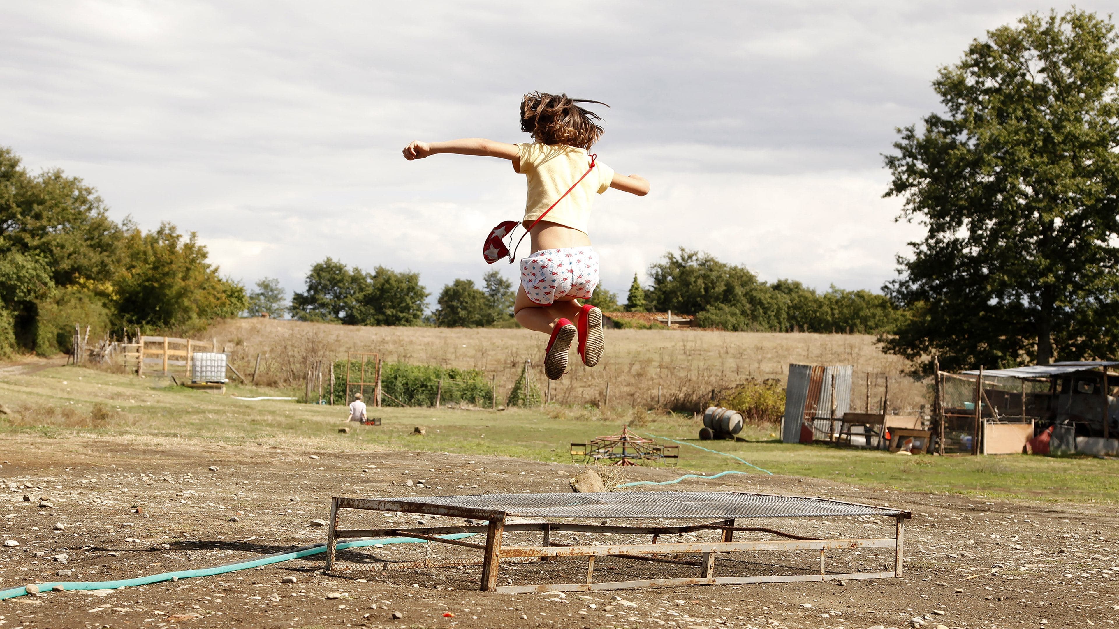 The Wonders Backdrop