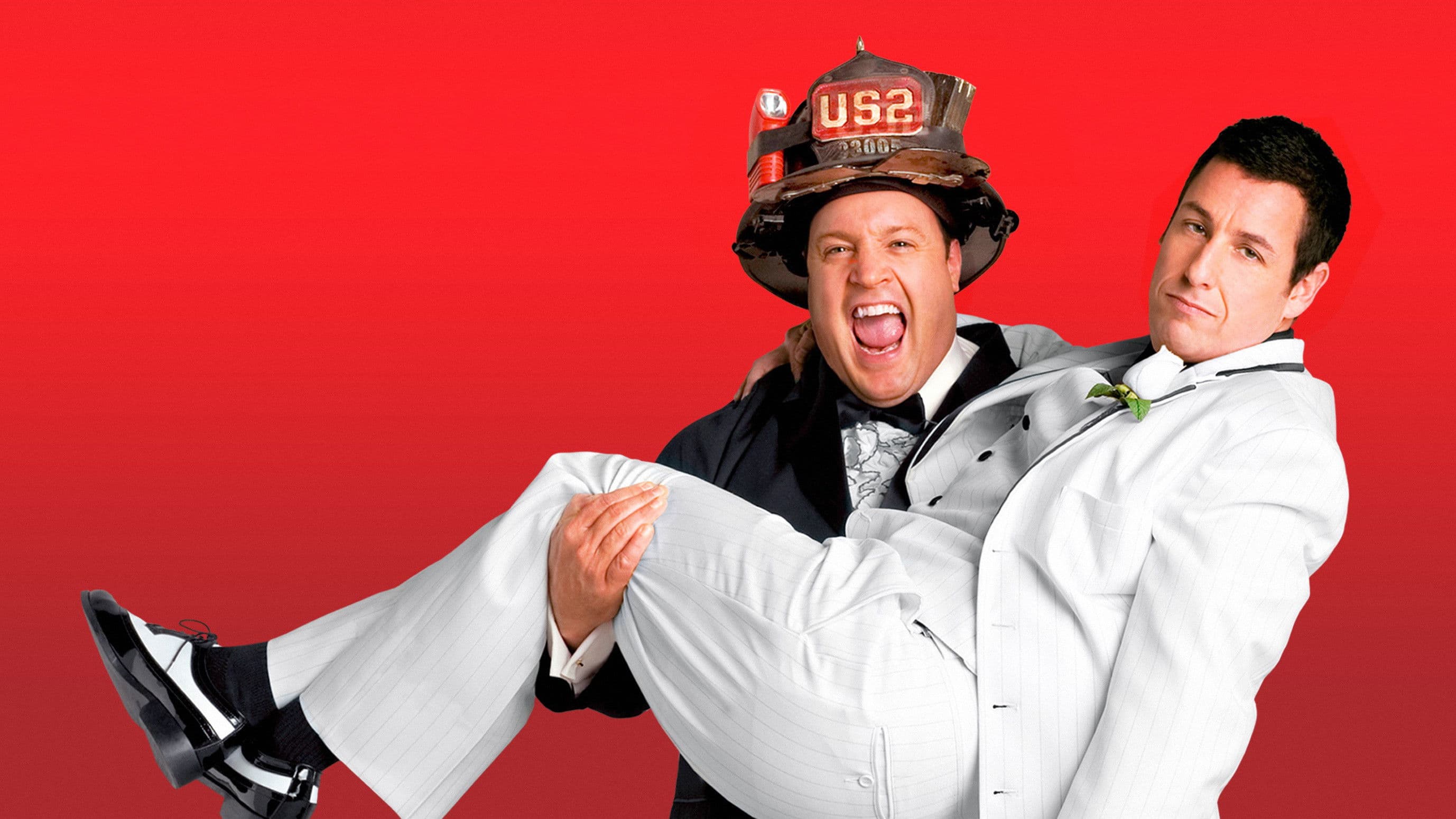 I Now Pronounce You Chuck & Larry Backdrop