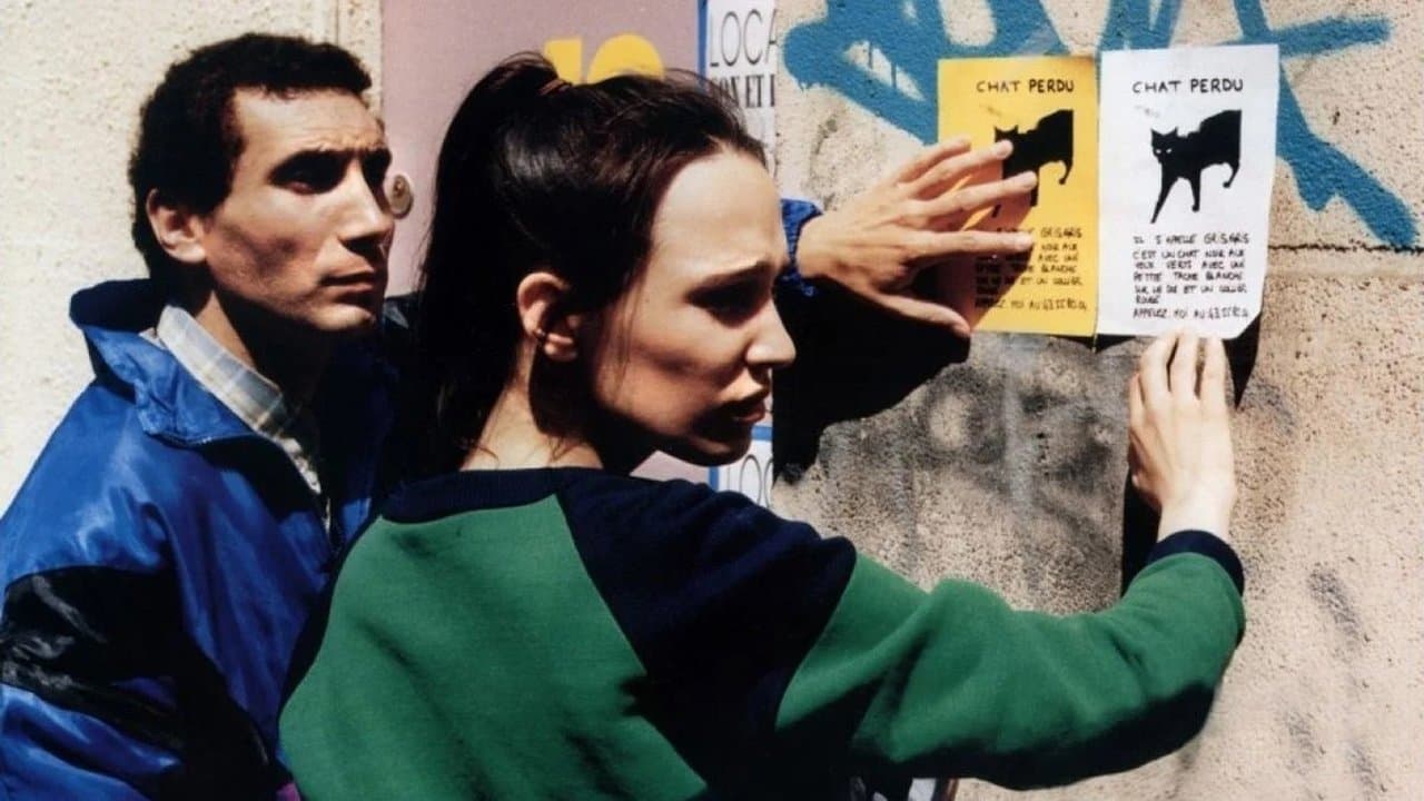 When the Cat's Away Backdrop