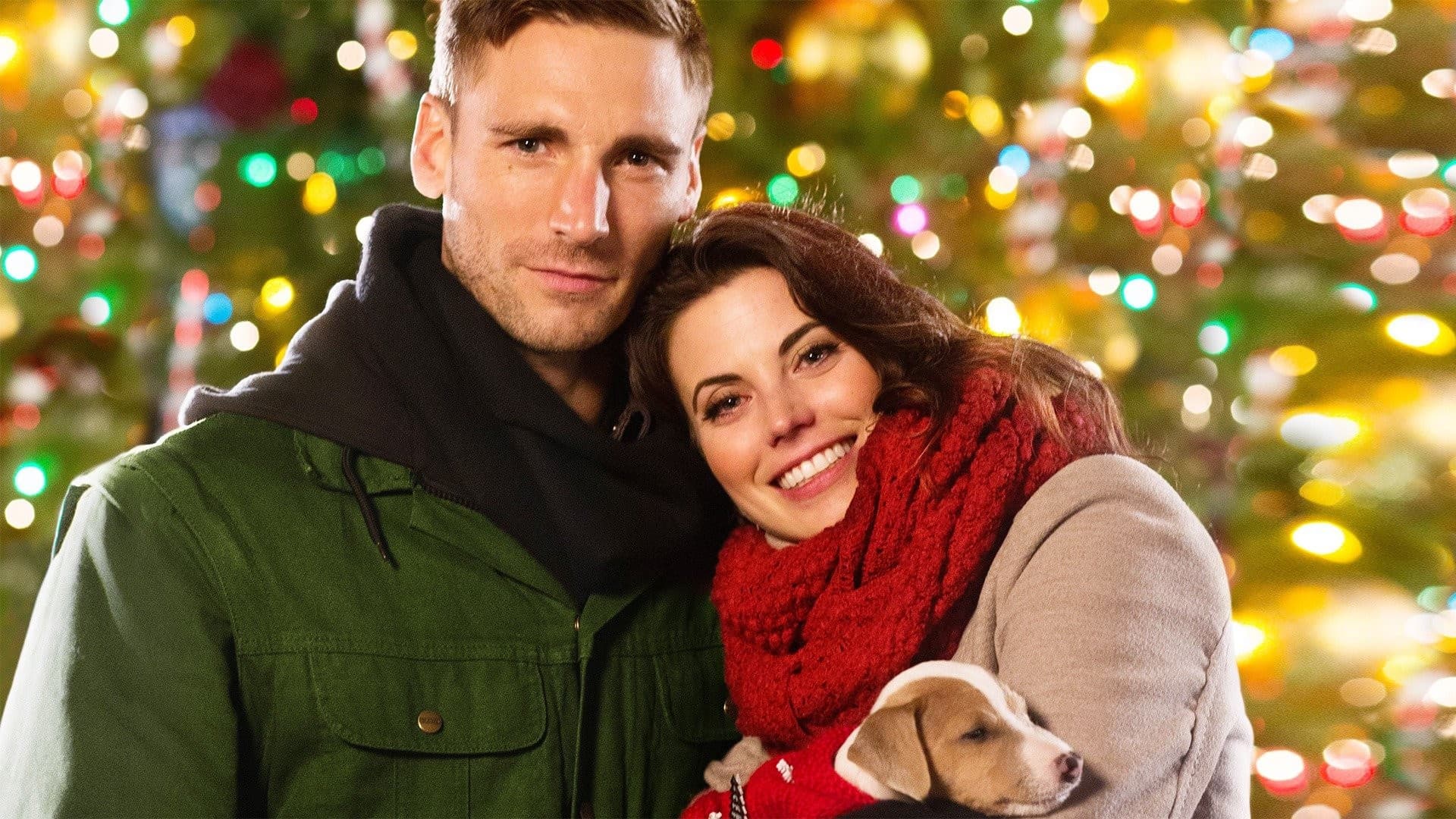 Debbie Macomber's Dashing Through The Snow Backdrop